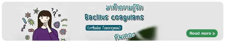 bacillus coagulans