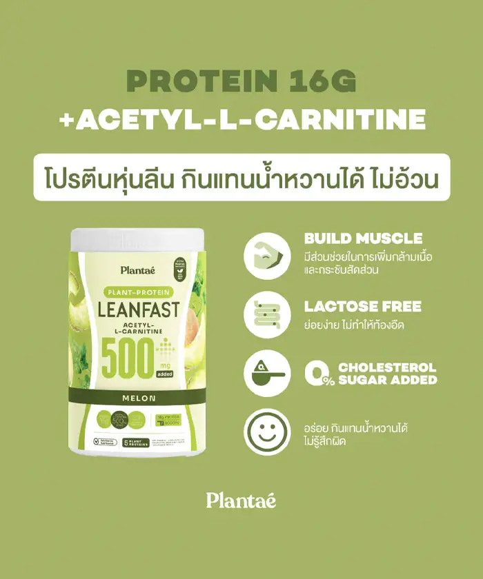 PLANTAE Protein Lean Fast - Melon