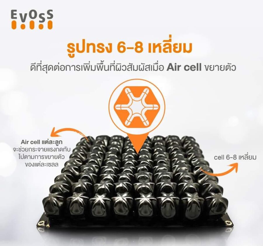 EVOSS Air Cell air cushion - Image 2
