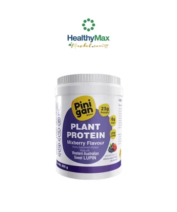 Pinigan Plant Protein Mixberry Flavor