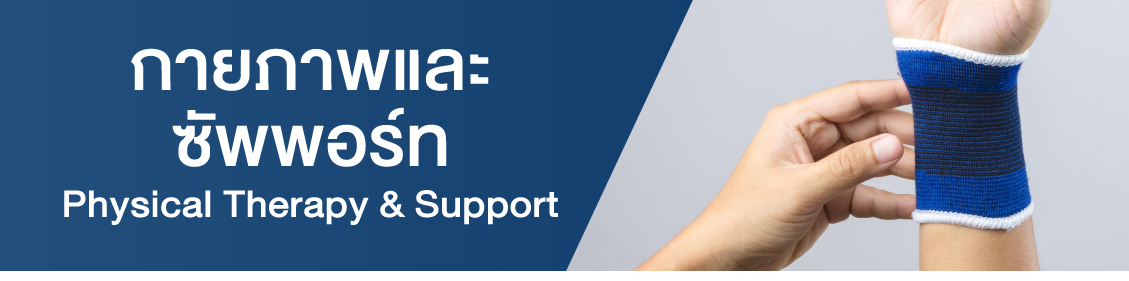 Physical Therapy and Support